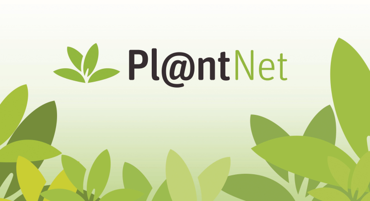 Plantnet-kuld