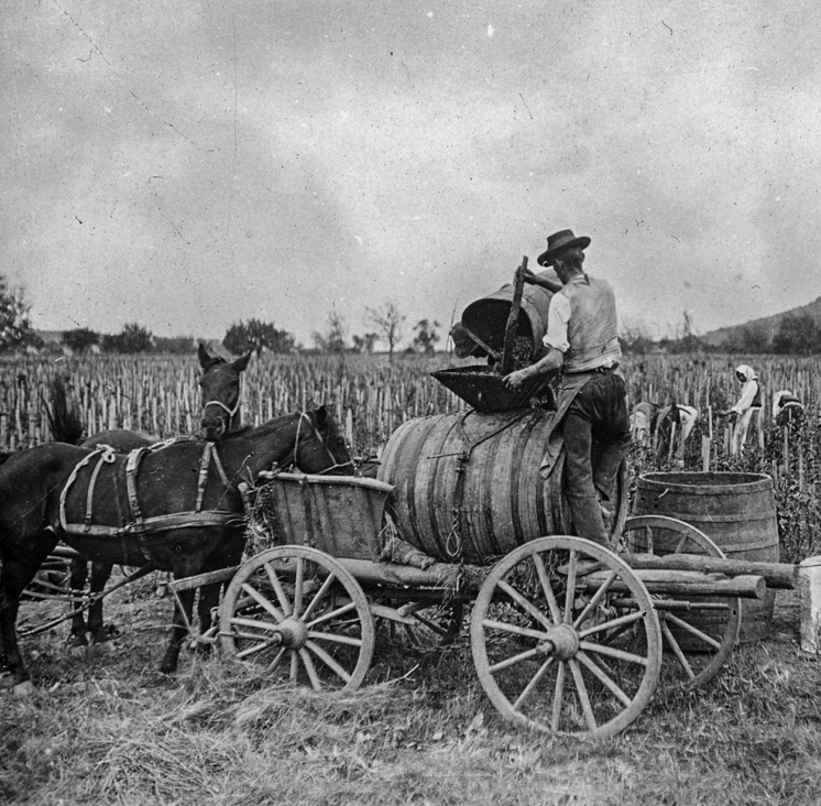 Szuret_az_1900-as_evekben