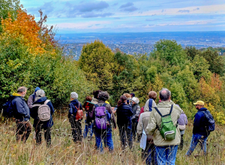 A_rovarhoteleket_es_a_kinzohazat_is_megneztuk_a_Normafan_2 A_rovarhoteleket_es_a_kinzohazat_is_megneztuk_a_Normafan_2