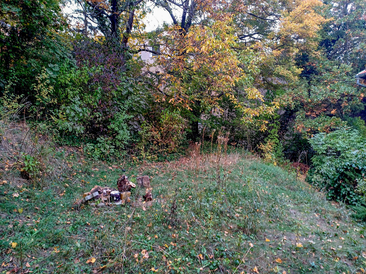 A_sunok_mar_elkoltoztek._Ki_a_kovetkezo A_sunok_mar_elkoltoztek._Ki_a_kovetkezo