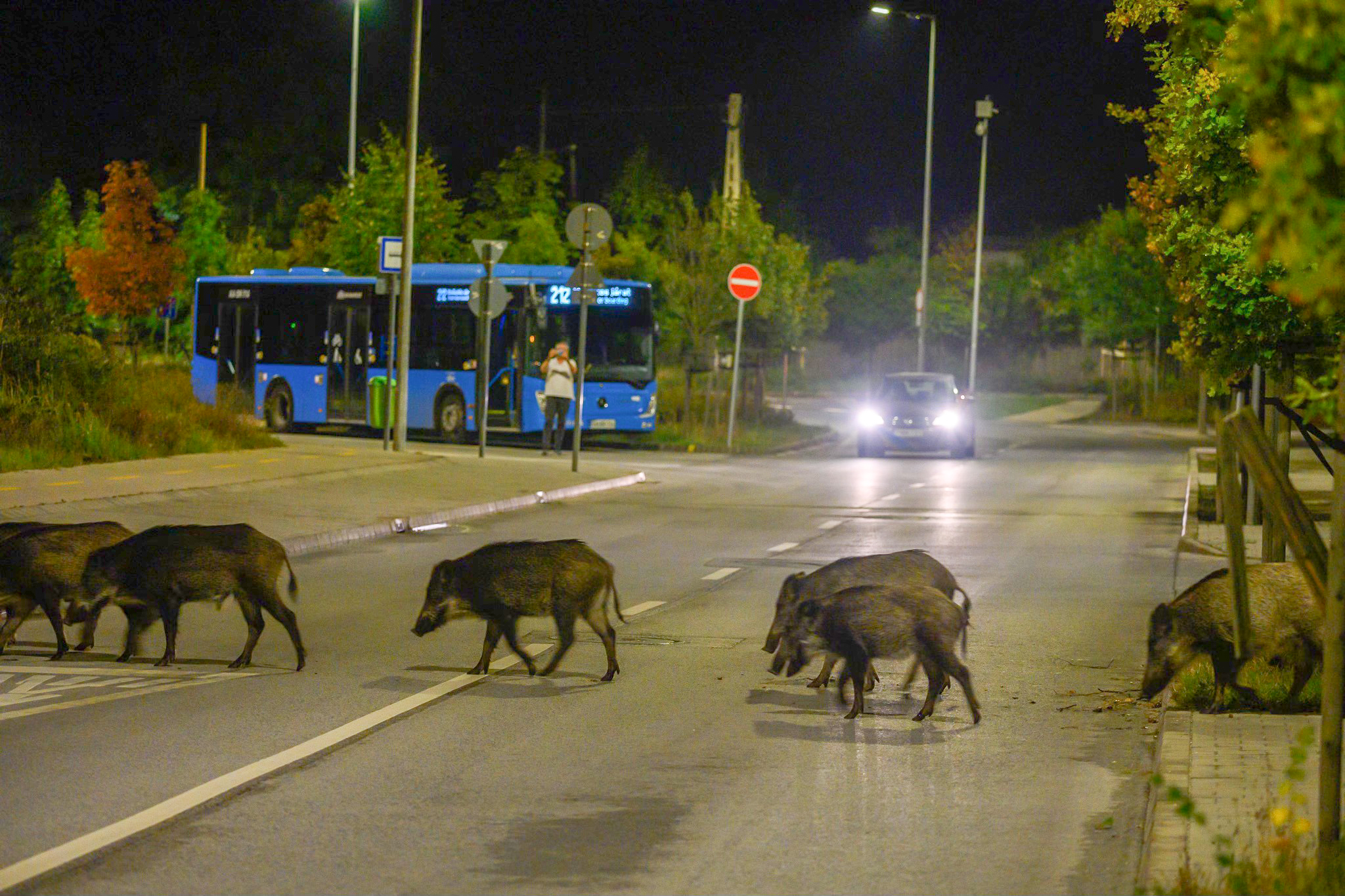 Az_onkormanyzatnak_nincs_merlegelesi_joga_2