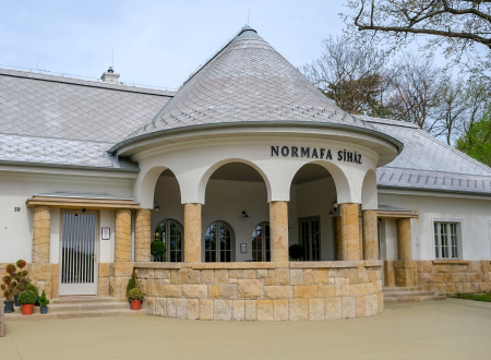 Dijjelolt_a_sihaz_neonfenyes_lesz_a_Nagykorut