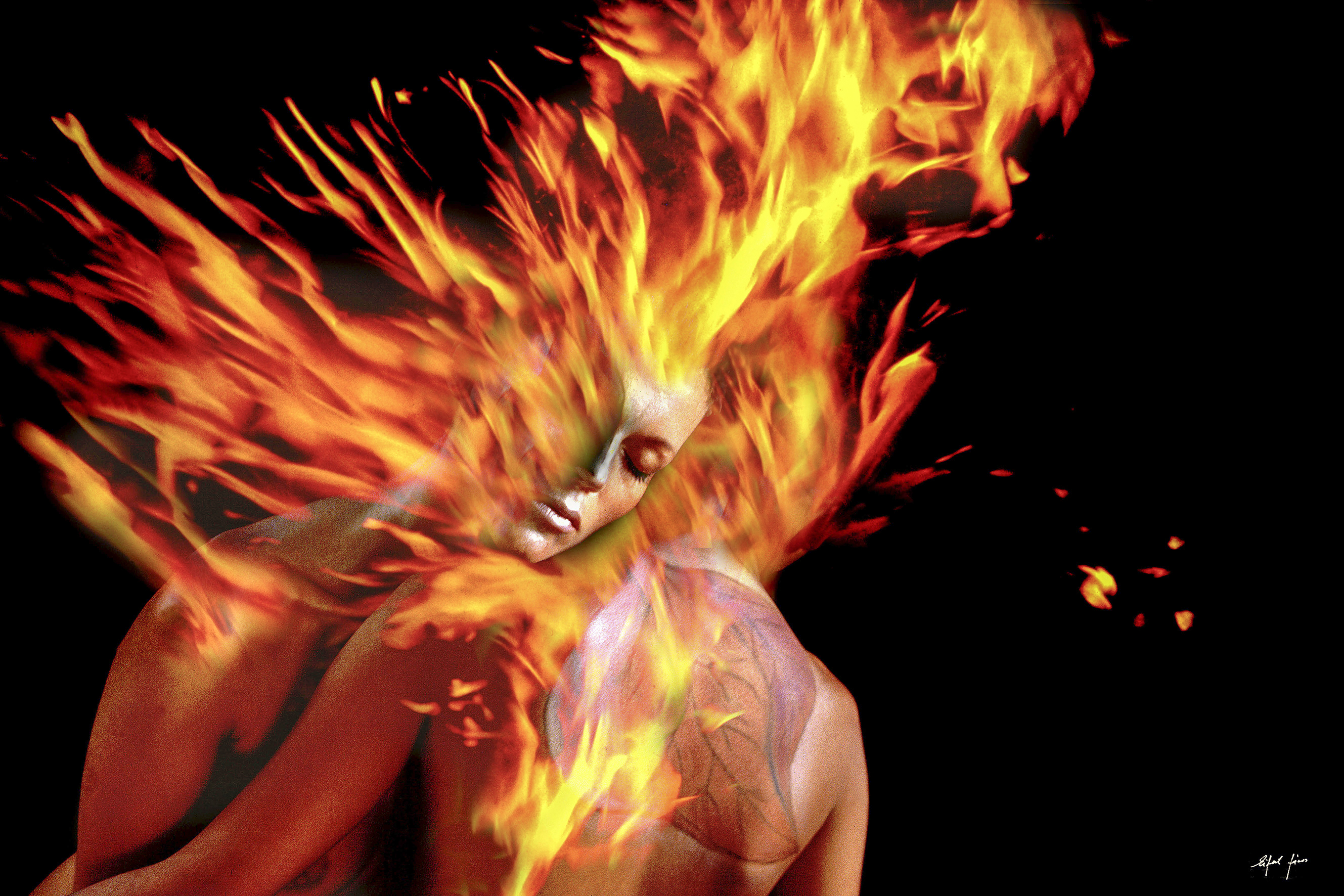 Egy_napra_feleledt_a_diaporama_a_Hegyvideken_2