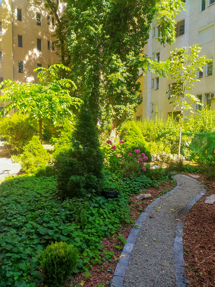 Maximidik_repteri_gyorsvasut_igen_Bubi_nem Maximidik_repteri_gyorsvasut_igen_Bubi_nem