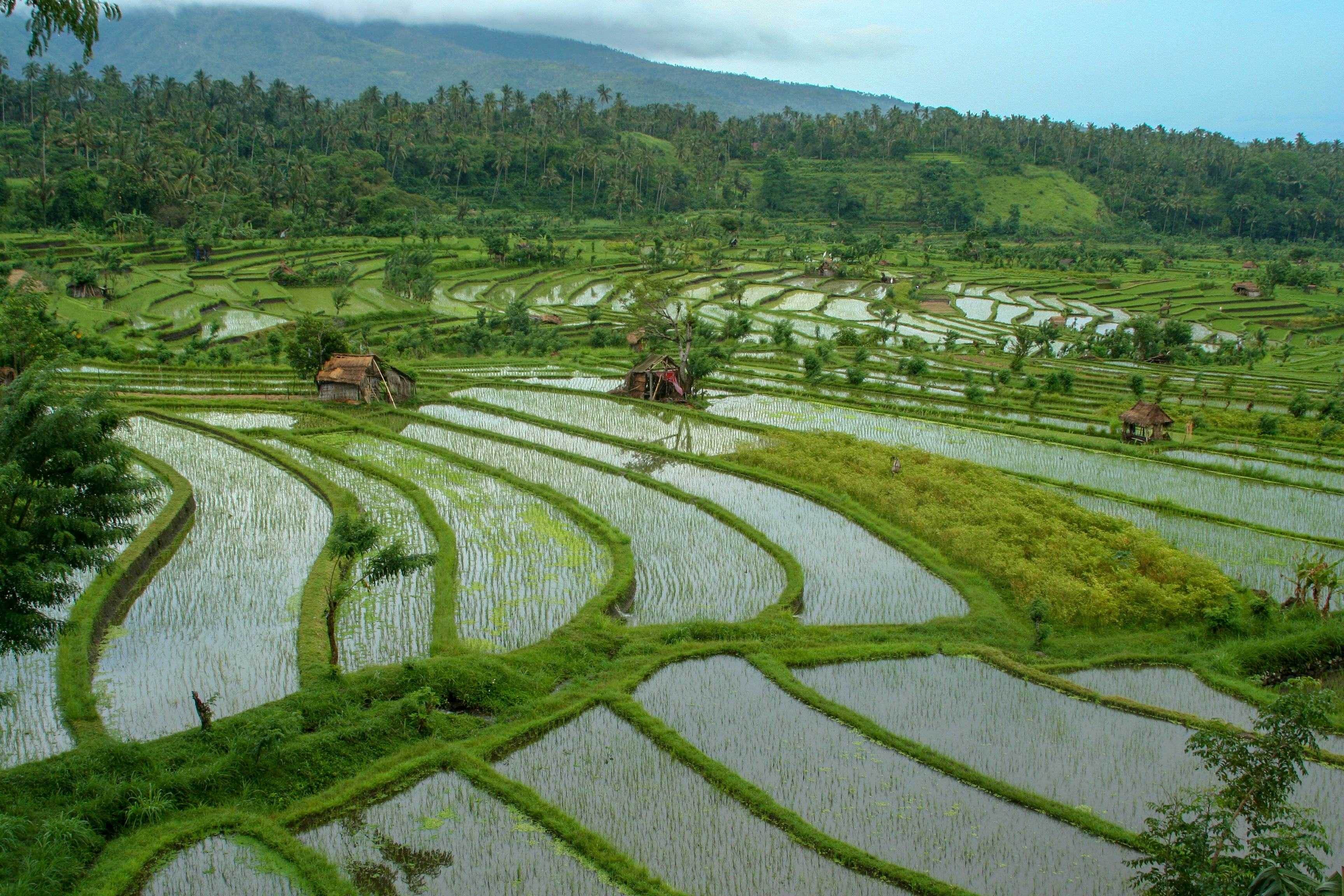 A_mi_etkezesunk_mashol_ehezes_2 A_mi_etkezesunk_mashol_ehezes_2