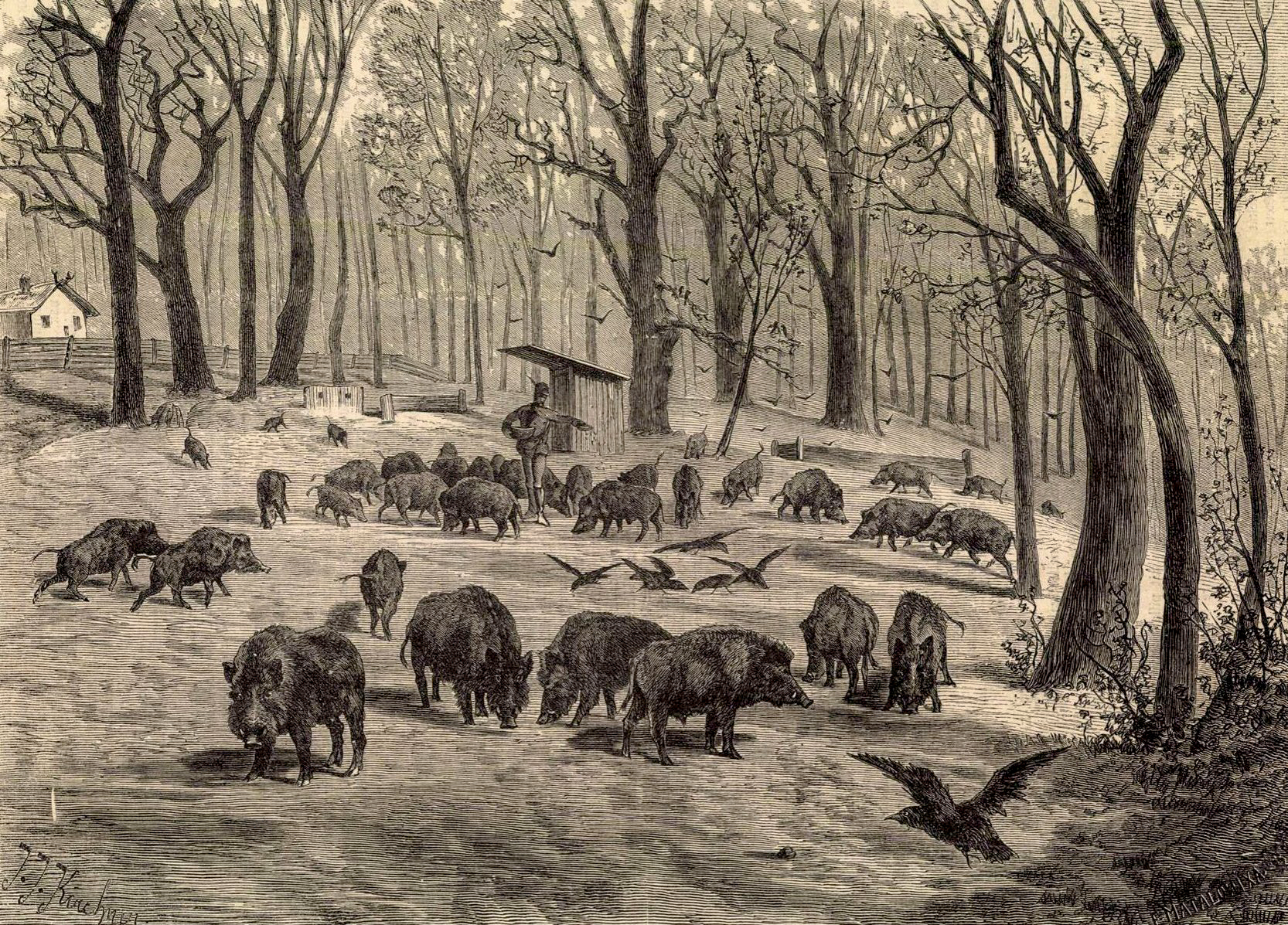 Amikor_a_kivancsi_vaddiszno_taxiba_akart_ulni_1