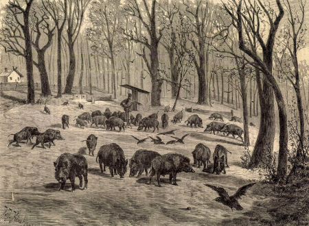 Amikor_a_kivancsi_vaddiszno_taxiba_akart_ulni_1