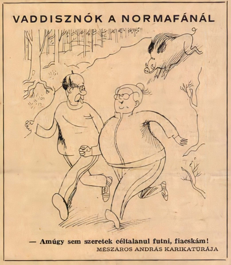 Amikor_a_kivancsi_vaddiszno_taxiba_akart_ulni_4