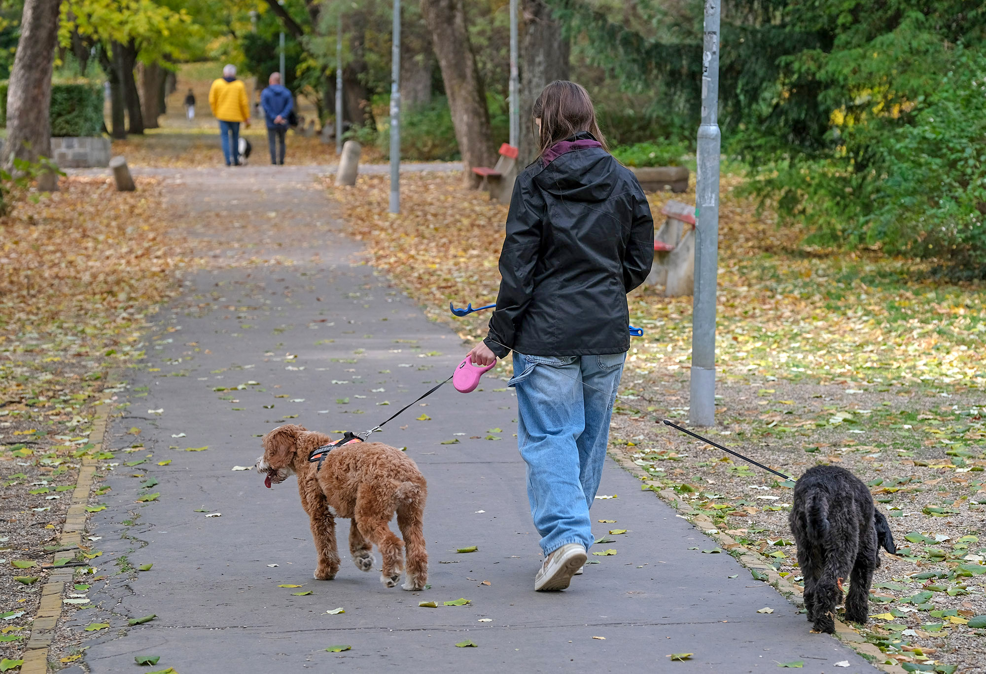 Ha_ev_vege_akkor_kozmeghallgatas_4 Ha_ev_vege_akkor_kozmeghallgatas_4