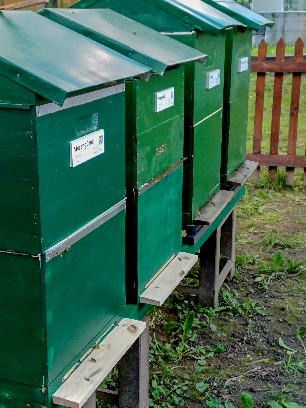 Miert_szeretjuk_annyira_a_mezet_3 Miert_szeretjuk_annyira_a_mezet_3