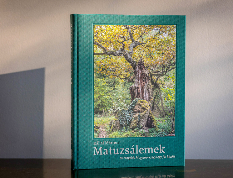 Mosolygo_matuzsalemek_akik_tanitanak_3