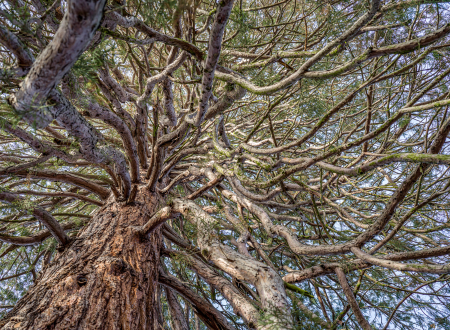 Mosolygo_matuzsalemek_akik_tanitanak_4