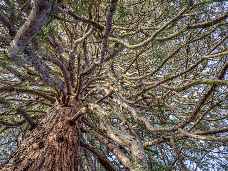 Mosolygo_matuzsalemek_akik_tanitanak_4