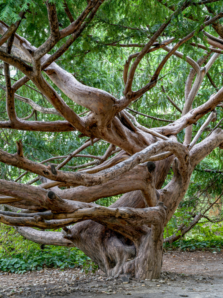 Mosolygo_matuzsalemek_akik_tanitanak_5