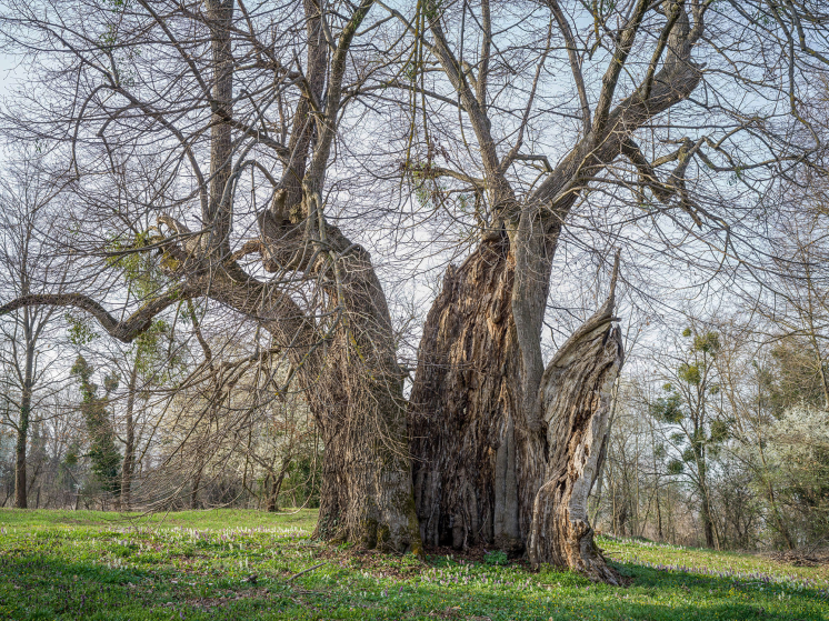 Mosolygo_matuzsalemek_akik_tanitanak_7