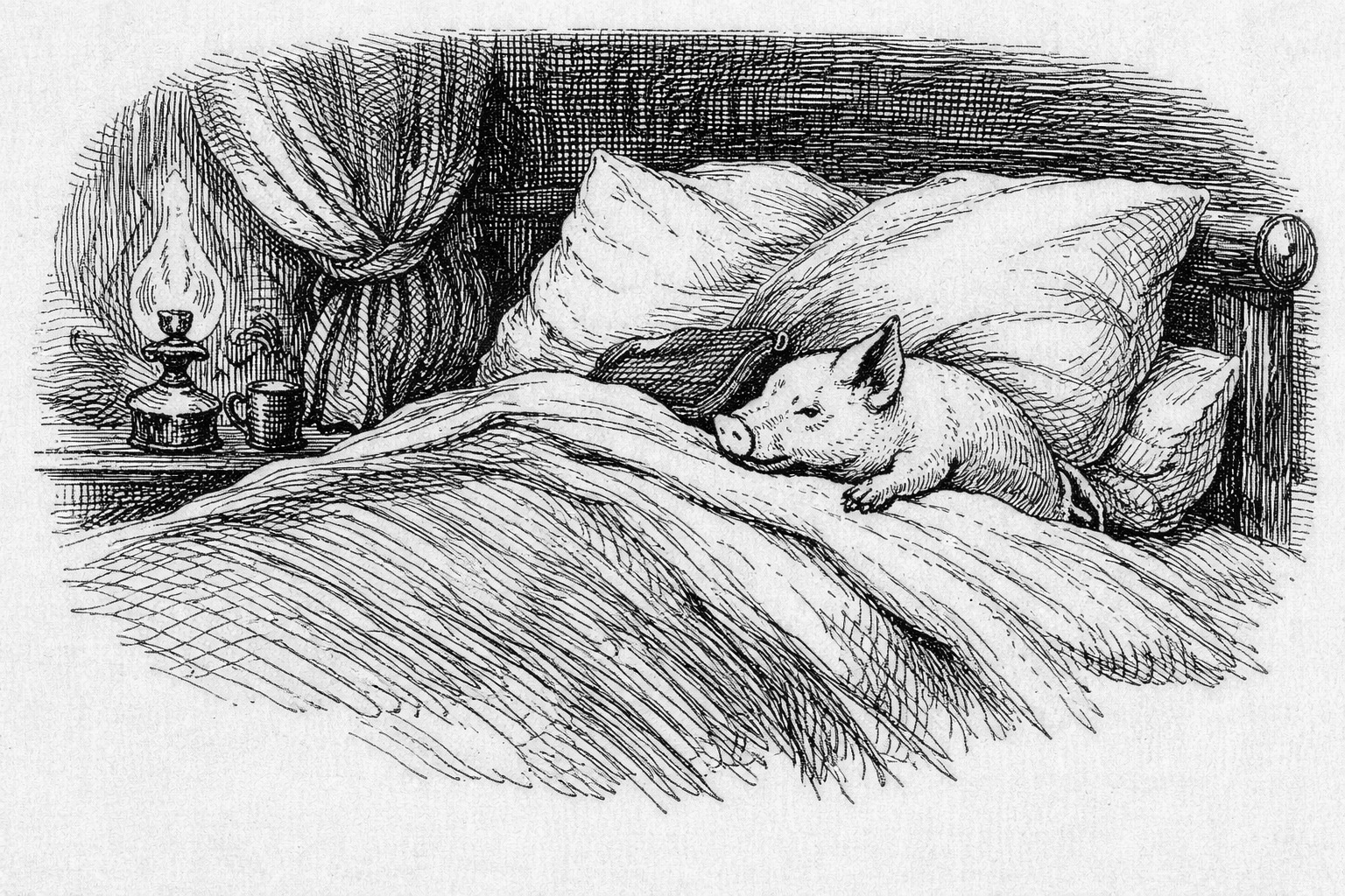 A_paplan_ala_koltozo_malac_historiaja_5