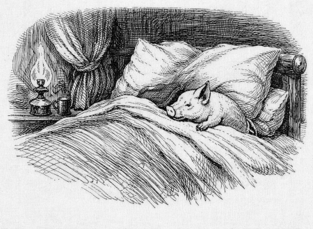 A_paplan_ala_koltozo_malac_historiaja_5