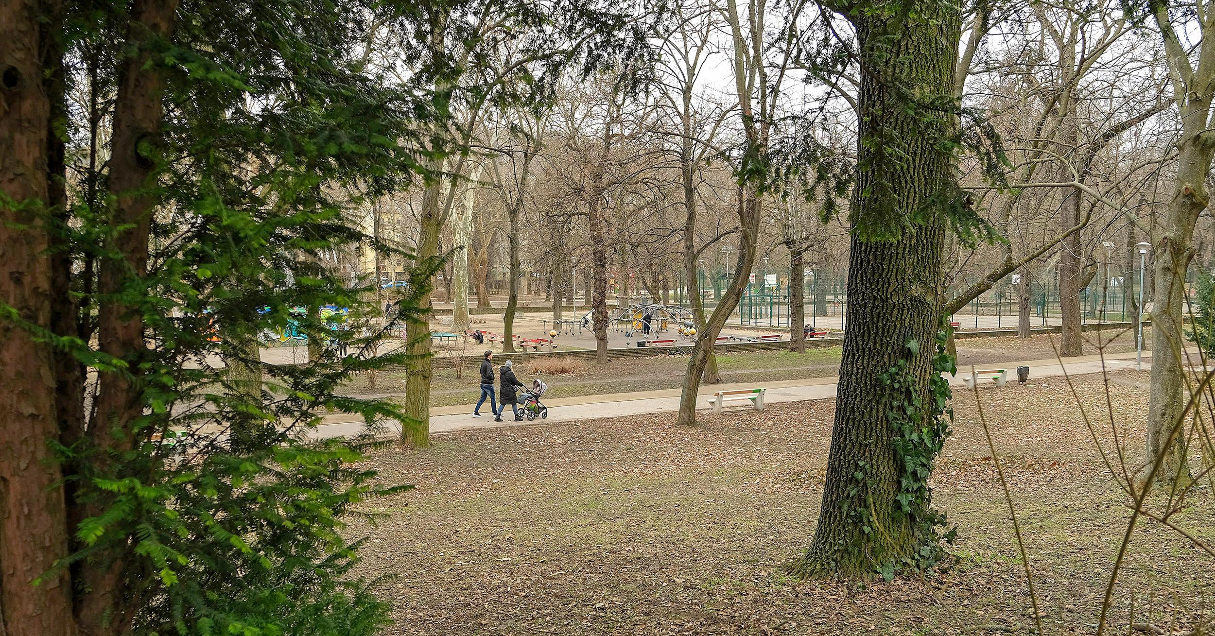 Apro_lepesekkel_ujulhat_meg_a_Varosmajor