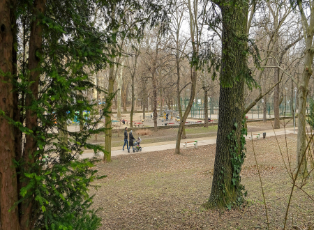 Apro_lepesekkel_ujulhat_meg_a_Varosmajor