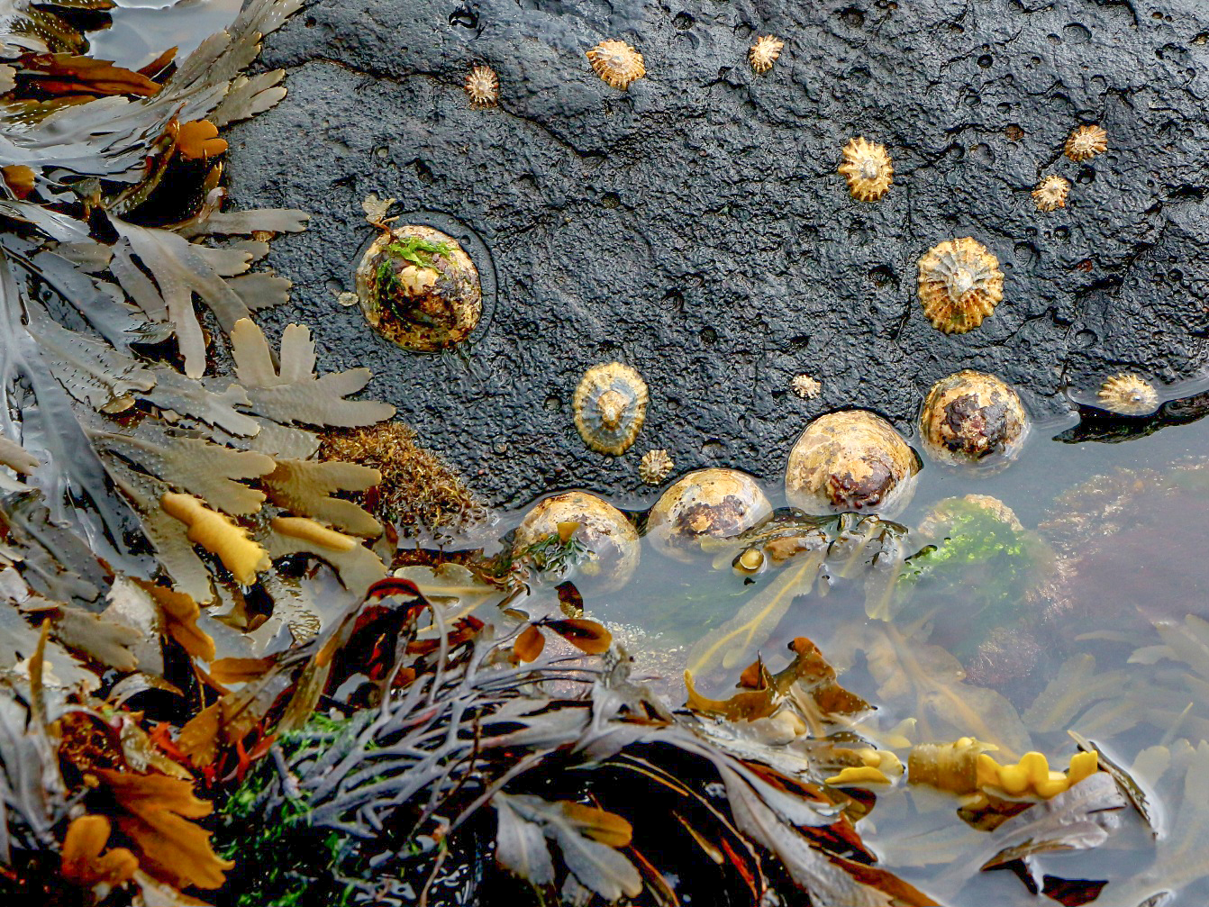 Belathatatlan_kovetkezmenyekkel_jarhat_a_vizaramlatok_lassulasa_1 Belathatatlan_kovetkezmenyekkel_jarhat_a_vizaramlatok_lassulasa_1