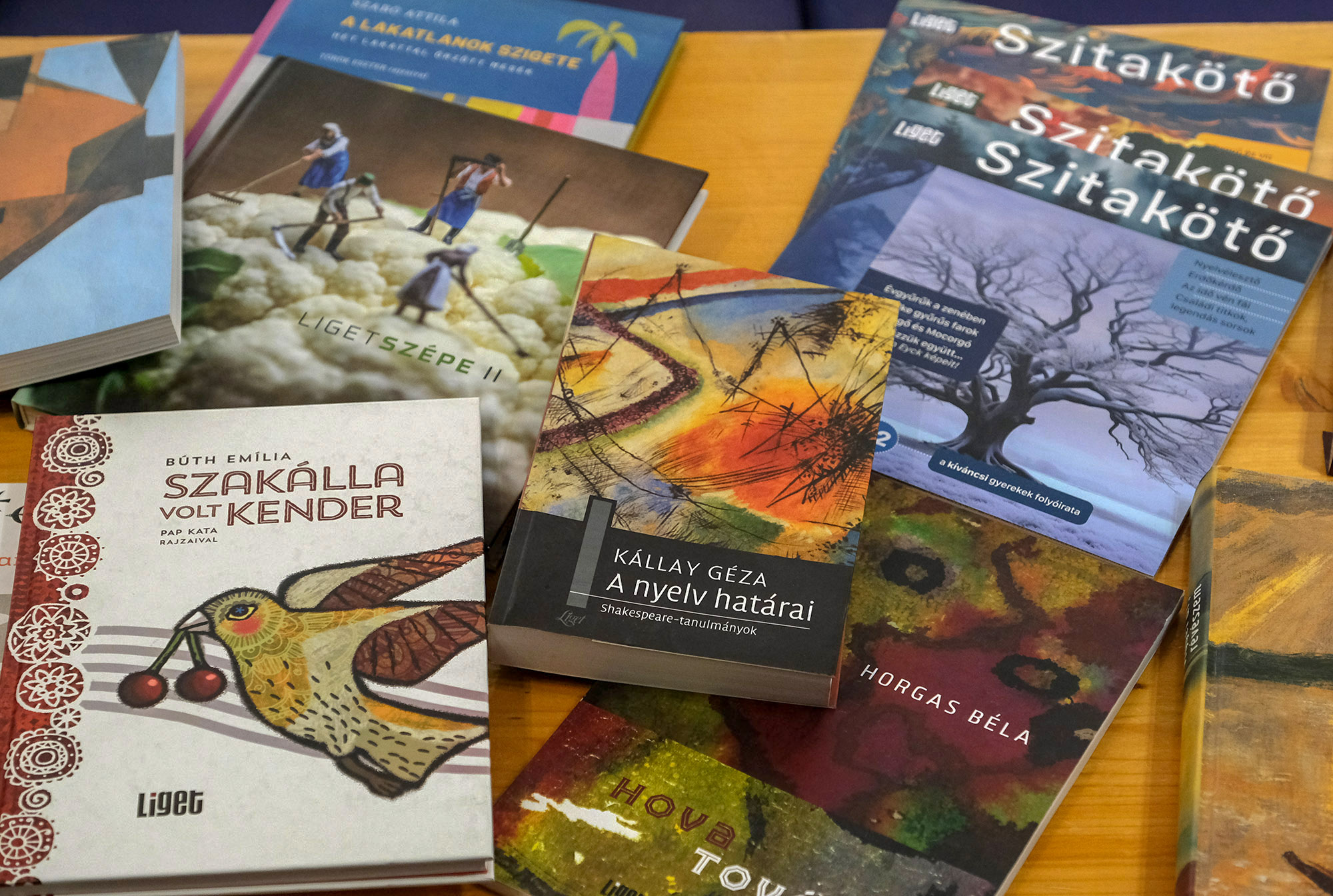 Liget_Muhely_az_irodalom_csaladias_otthona_5