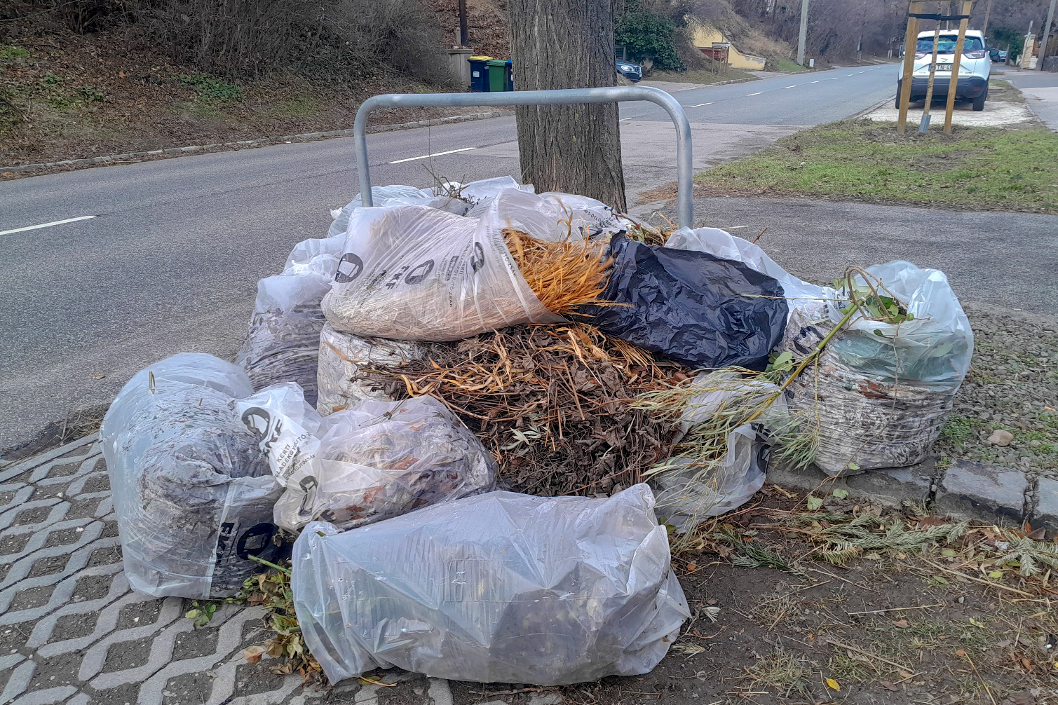 Nem_lesz_gond_a_zoldhulladekkal