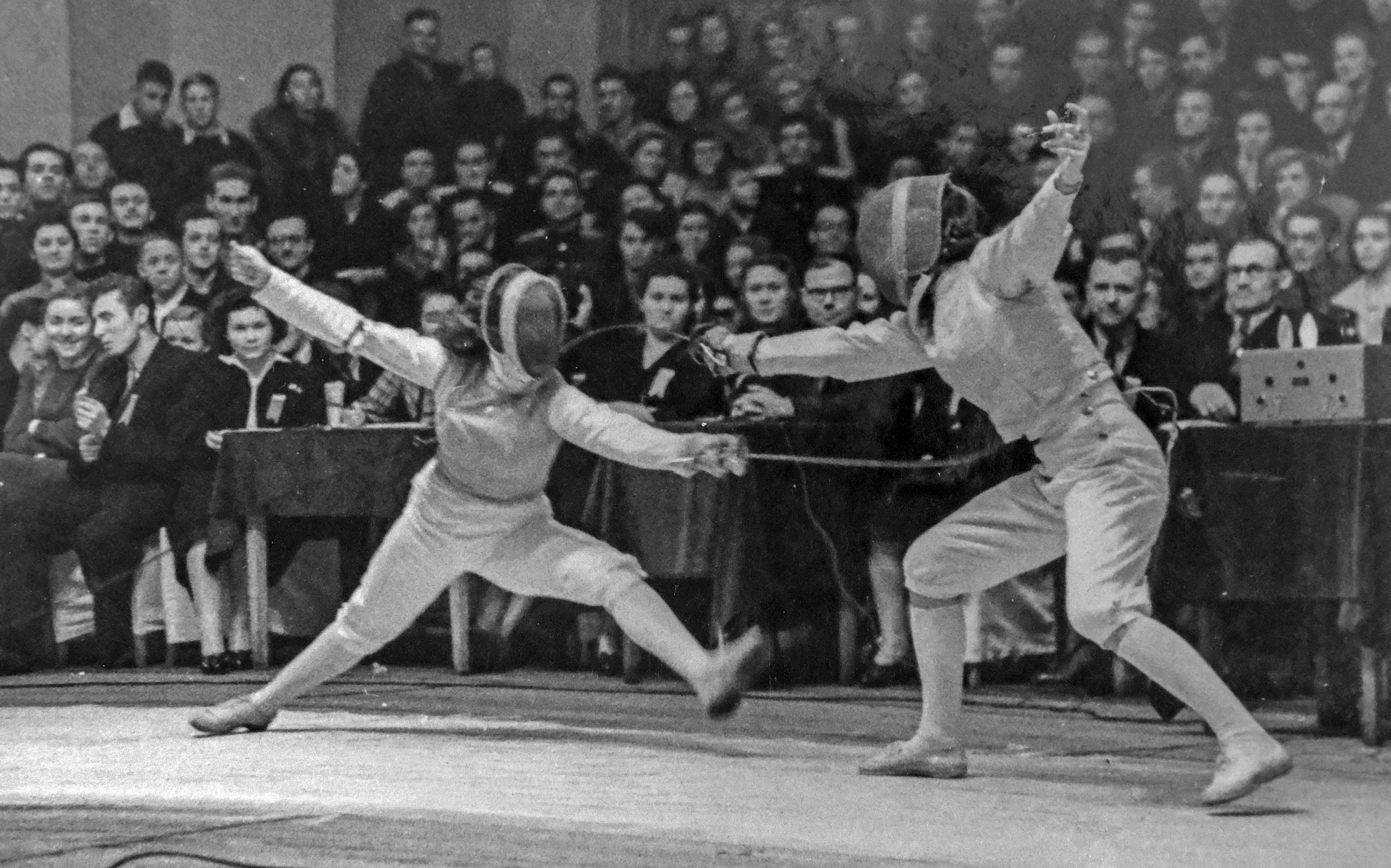 Pengevel_a_Harvardon_bordasfallal_otthon_1