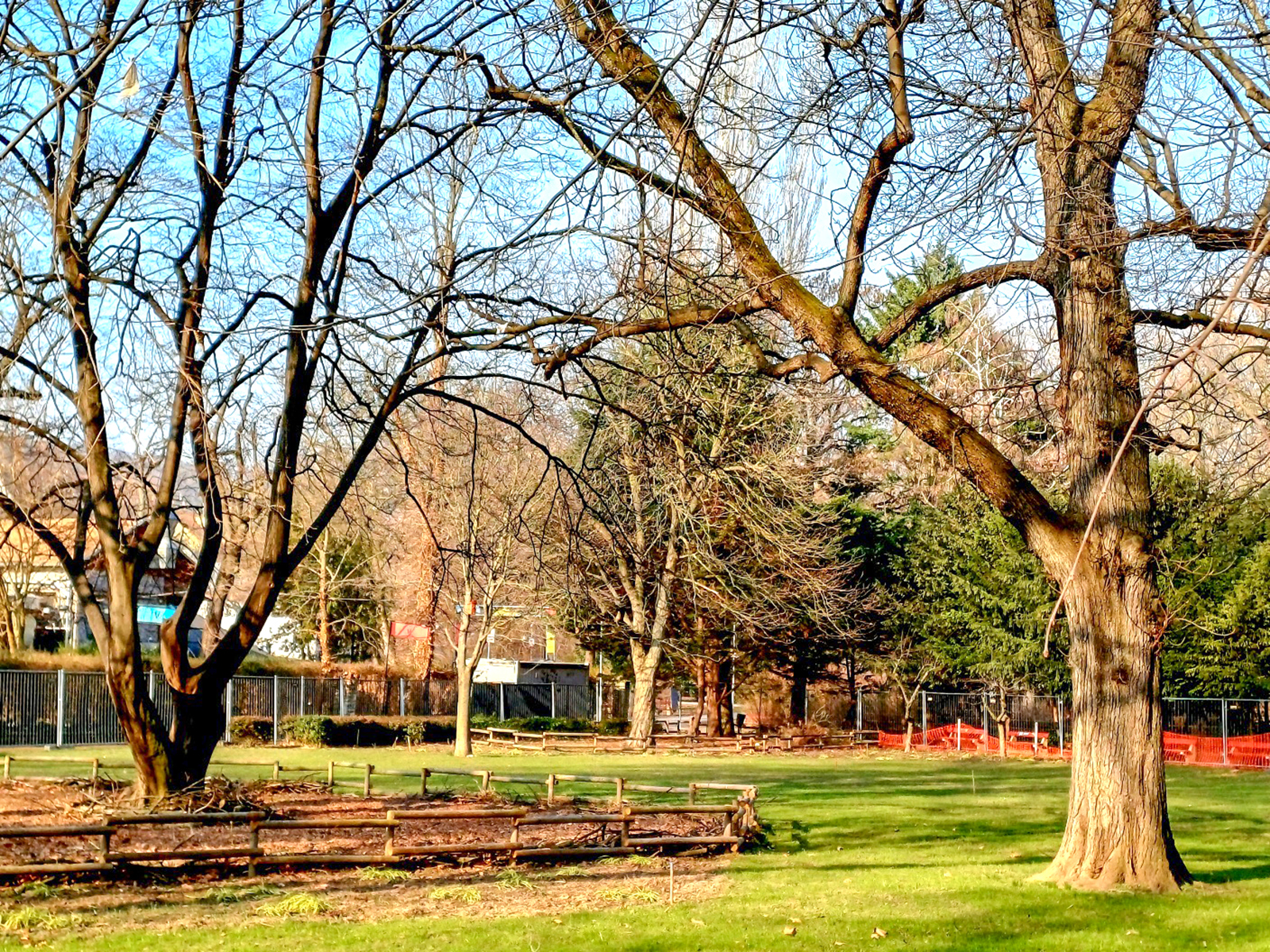 A_fiatal_fak_es_a_tizenhetezer_onkentes_varosa_3