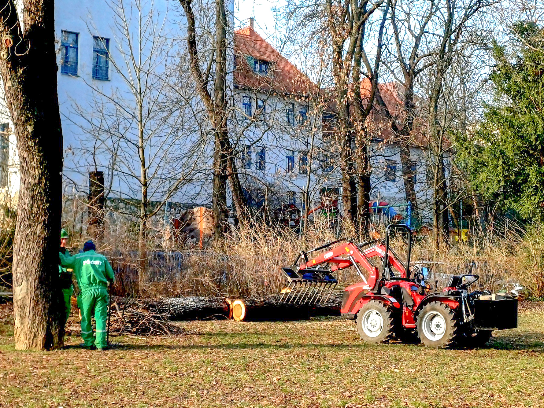 A_fiatal_fak_es_a_tizenhetezer_onkentes_varosa_4